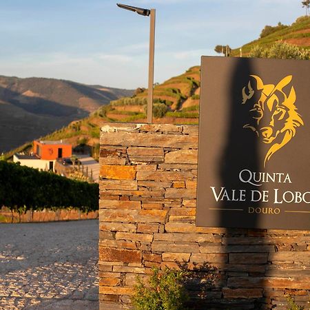 Quinta Vale De Lobos Bed & Breakfast Folgosa  Exterior photo