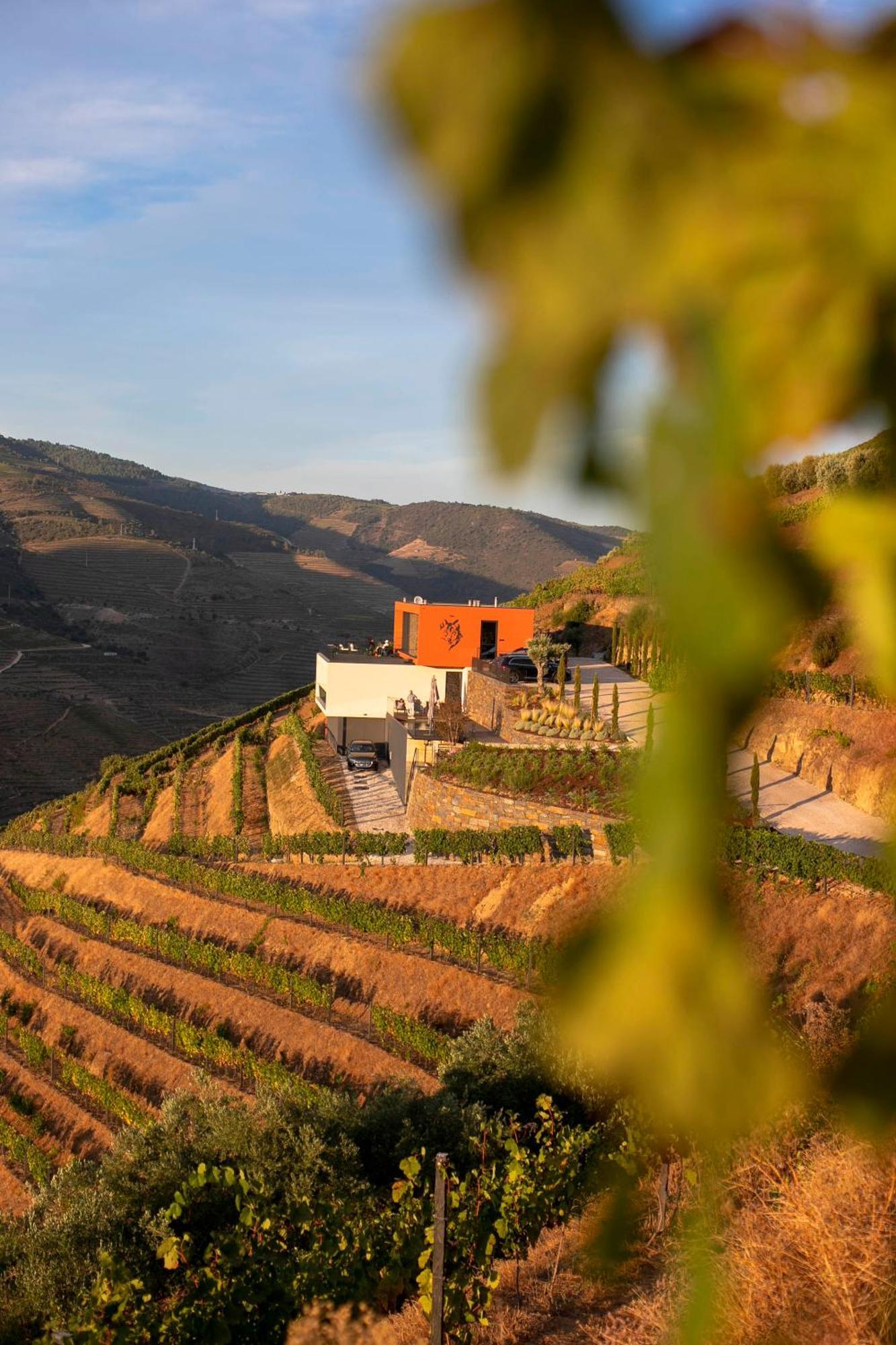 Quinta Vale De Lobos Bed & Breakfast Folgosa  Exterior photo