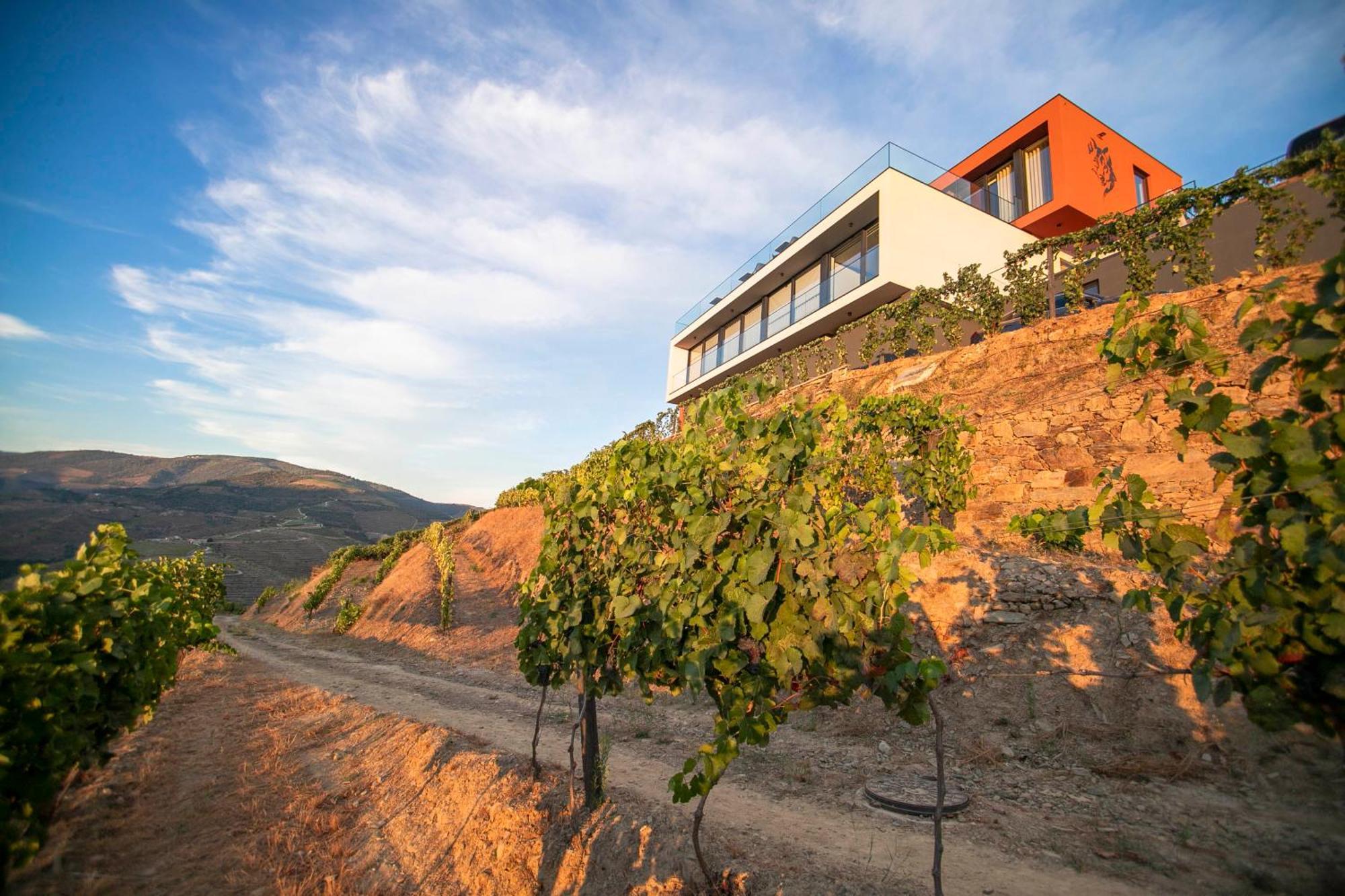 Quinta Vale De Lobos Bed & Breakfast Folgosa  Exterior photo