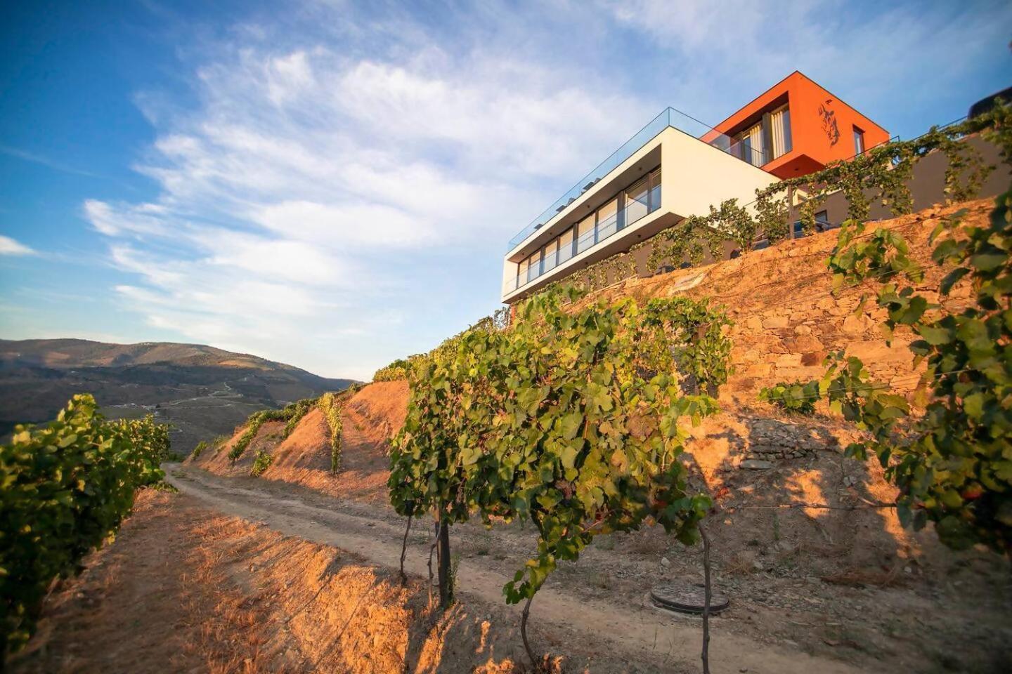 Quinta Vale De Lobos Bed & Breakfast Folgosa  Exterior photo